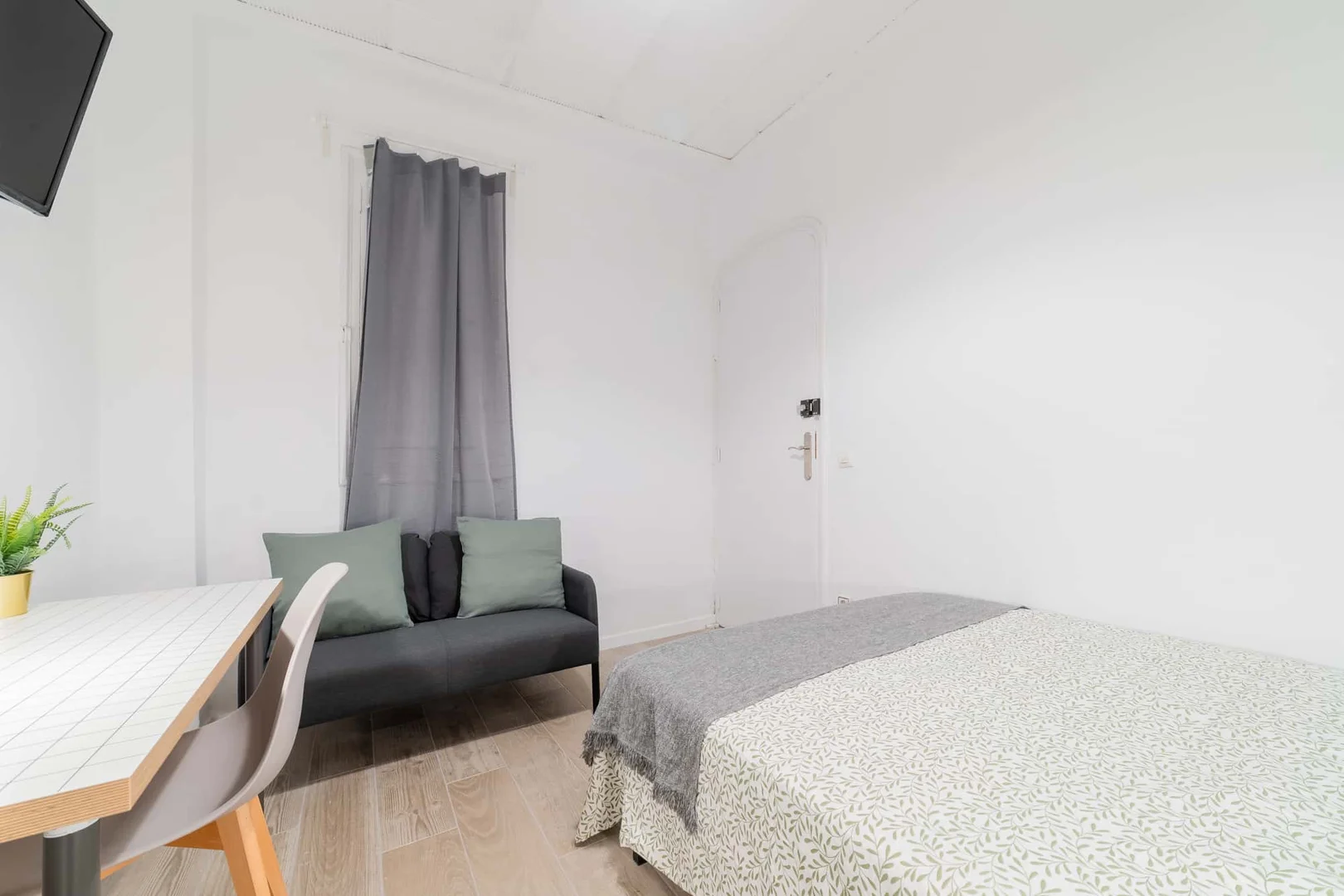 Affordable room for students with ample lighting in 
