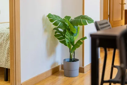 Habitación privada en Carrer de Jaume II, Benicalap, 46015 València, Valencia, Spain, imagen 23 de 24
