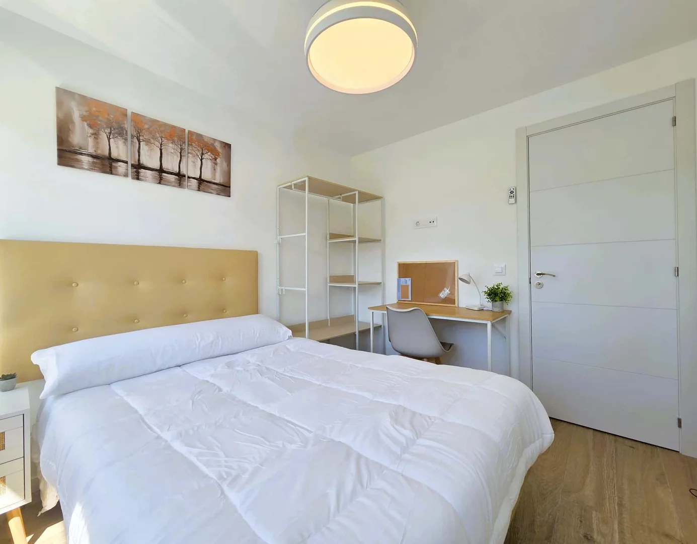 Student-friendly room in with modern amenities