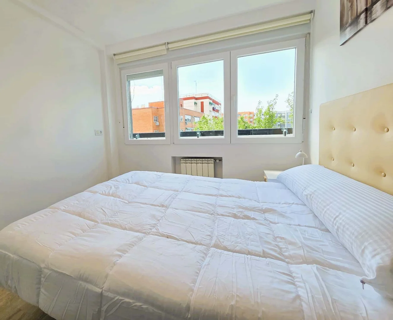 Student-friendly room in with modern amenities