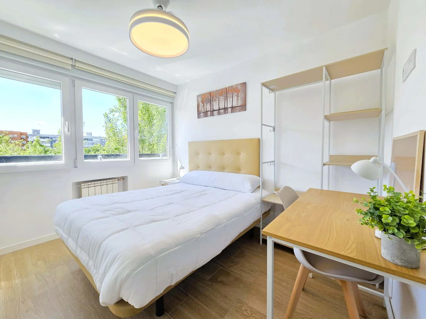 Budget-friendly student room close to campus in