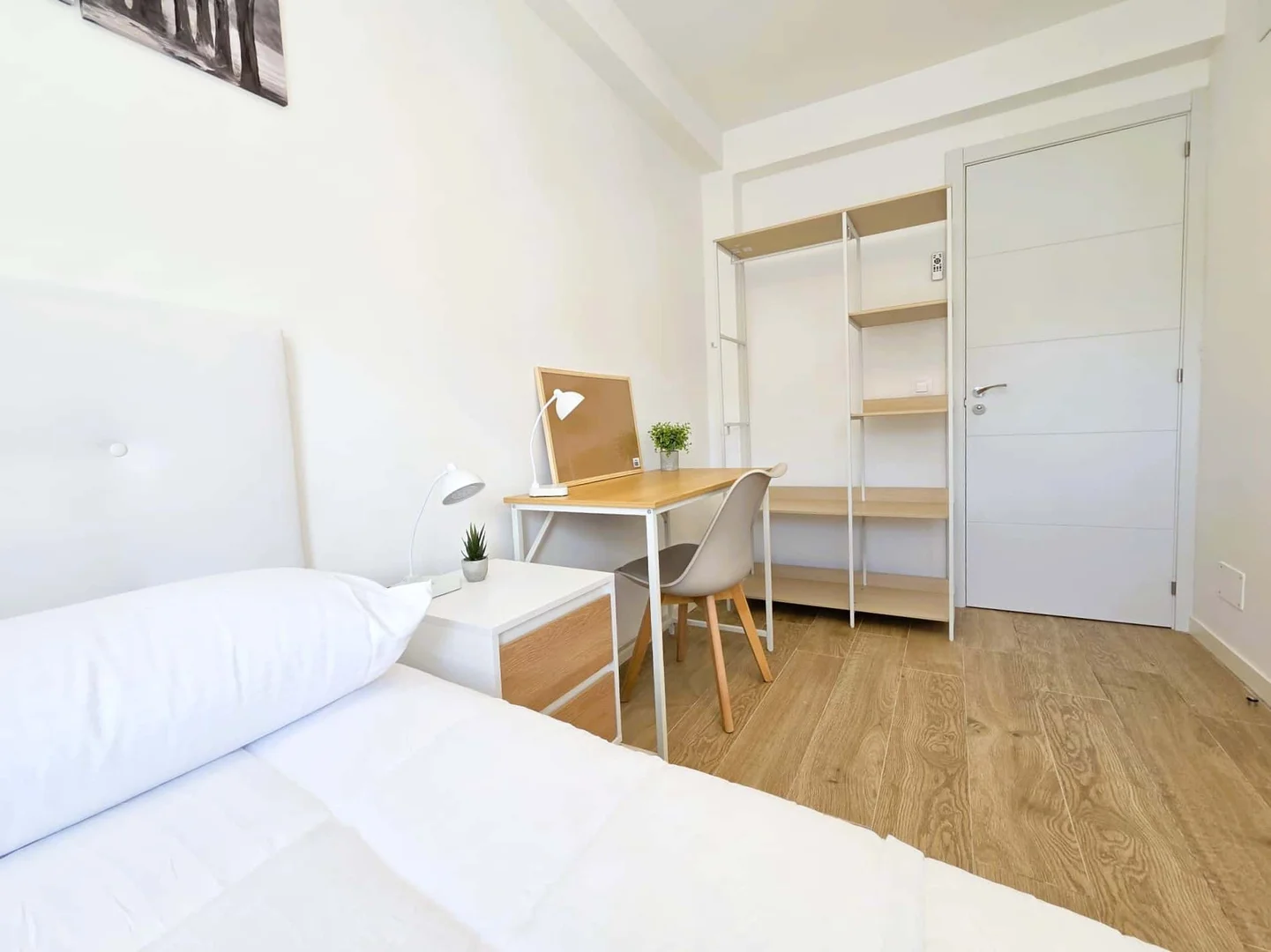 Affordable room for students with ample lighting in
