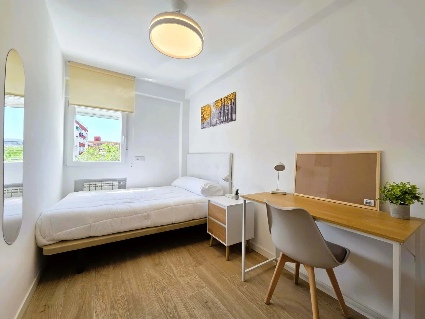 Budget-friendly student room close to campus in