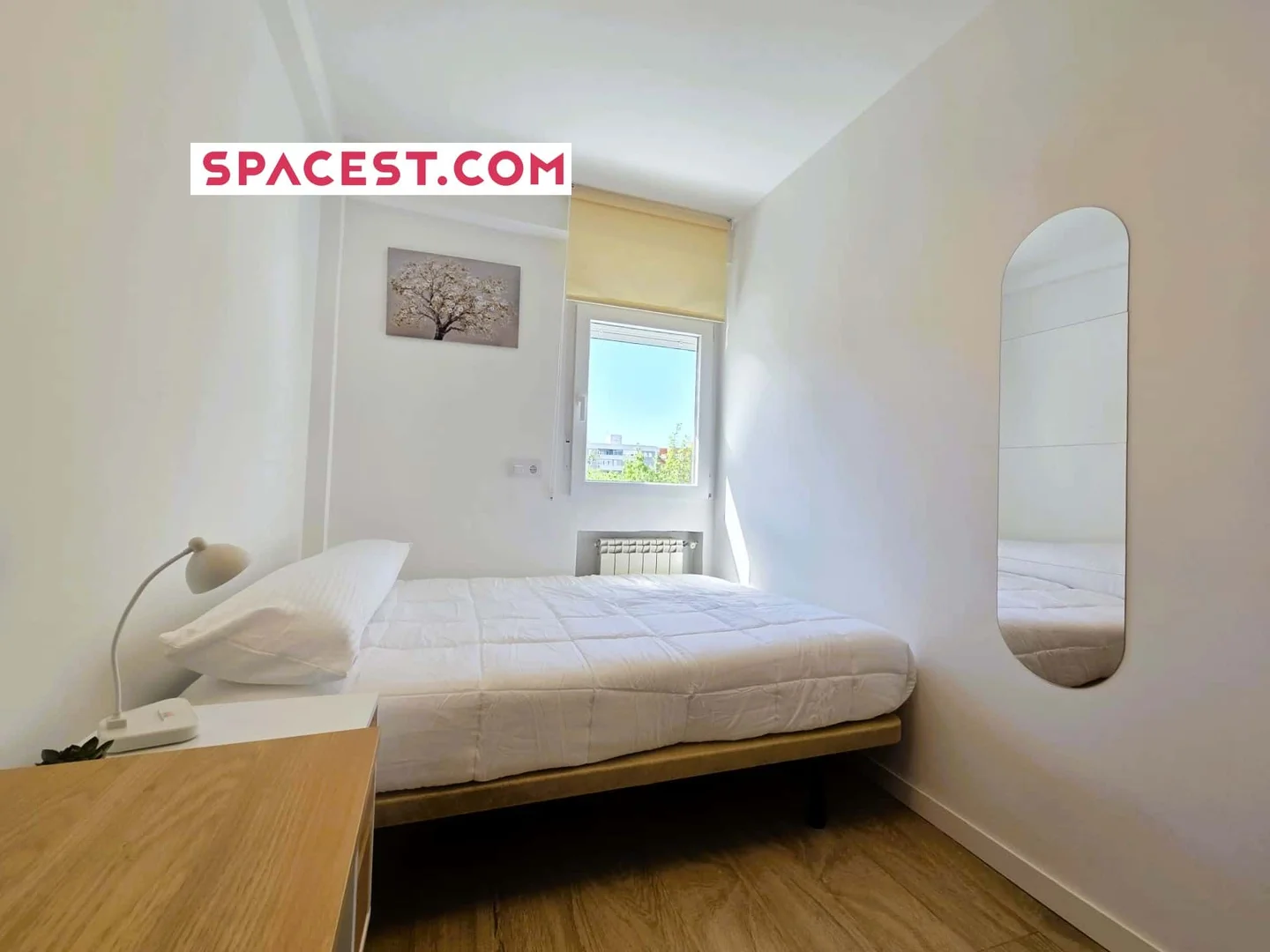 Comfortable and spacious student room in