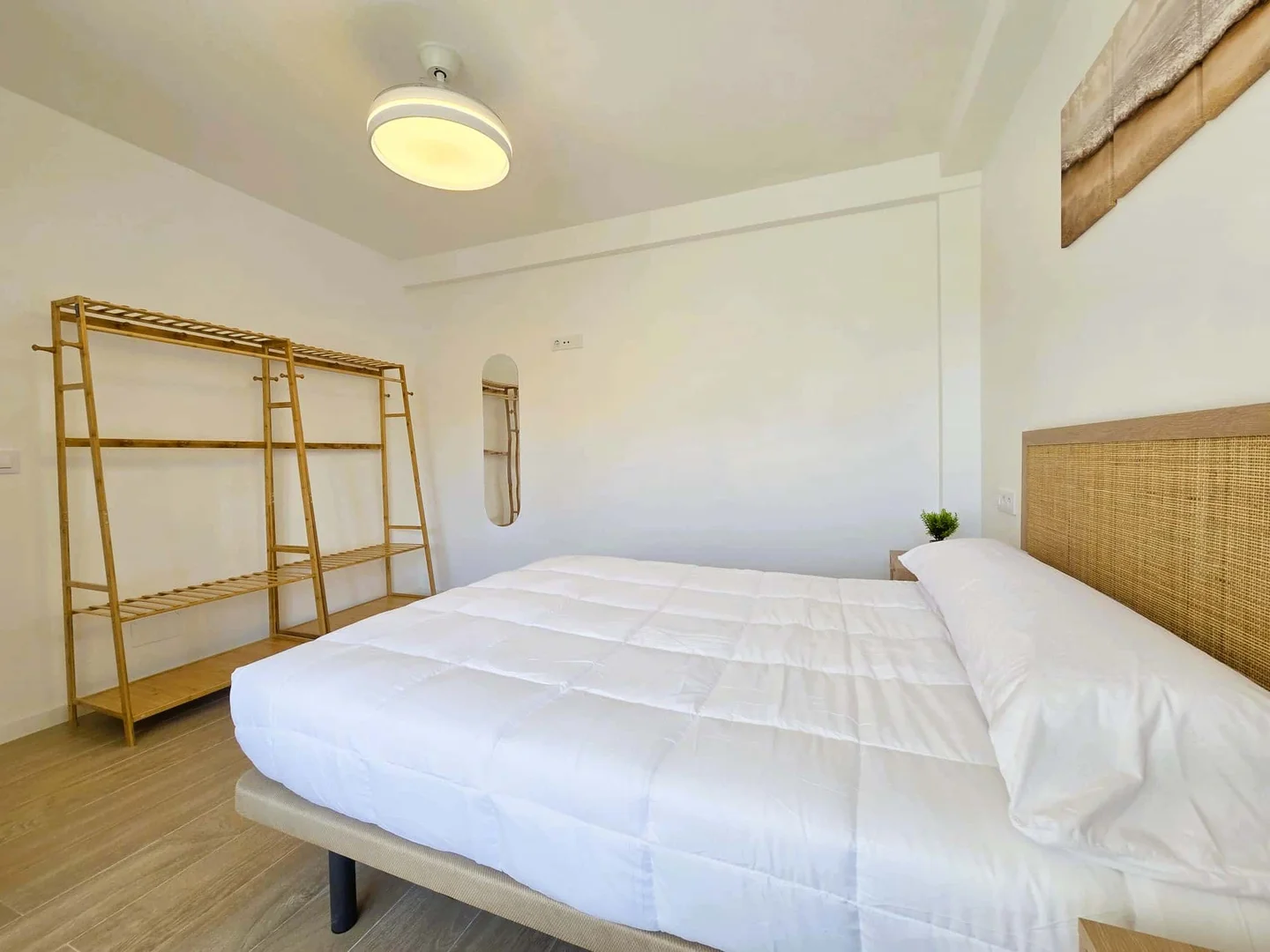 Affordable room for students with ample lighting in