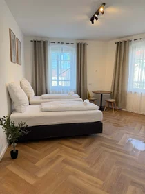 整套公寓 在 Platenstraße 12, 90441 Nürnberg, Deutschland, 20的图像17