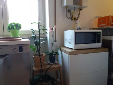 Entire apartment at Viale Arcangelo Ghisleri, 9, 00176 Roma RM, Italia, image 25 of 30