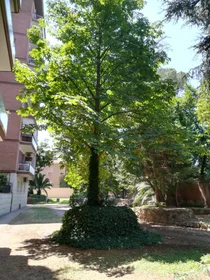 Entire apartment at Viale Arcangelo Ghisleri, 9, 00176 Roma RM, Italia, image 28 of 30
