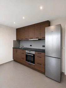 Entire apartment at Lessingstraße 12, 69115 Heidelberg, Deutschland, image 4 of 8