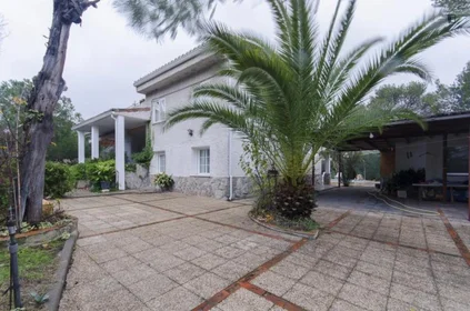 Prywatny pokój Calle Tajo, obraz 40 43