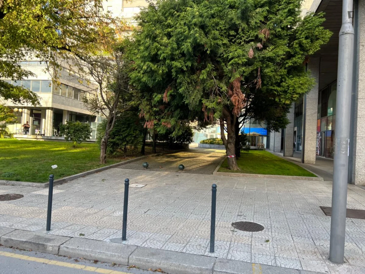 Rua de Júlio Dinis