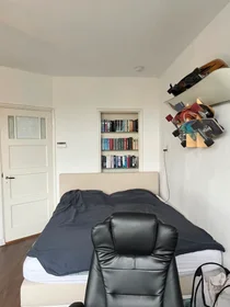 Entire apartment at Schuitendiep, image 8 of 10