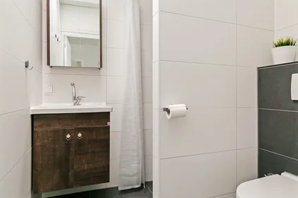 Stanza privata in Van Heuven Goedhartlaan, Kanaleneiland, immagine 5 di 8