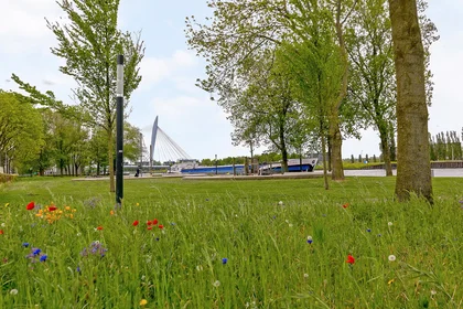 Stanza privata in Van Heuven Goedhartlaan, Kanaleneiland, immagine 8 di 8