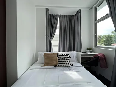 Privatzimmer in der Wilkie Road, bild 4 von 19