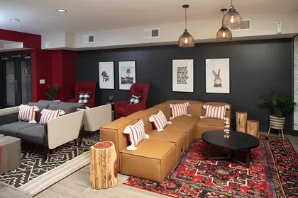 Stanza privata in Whaley Street, immagine 33 di 38