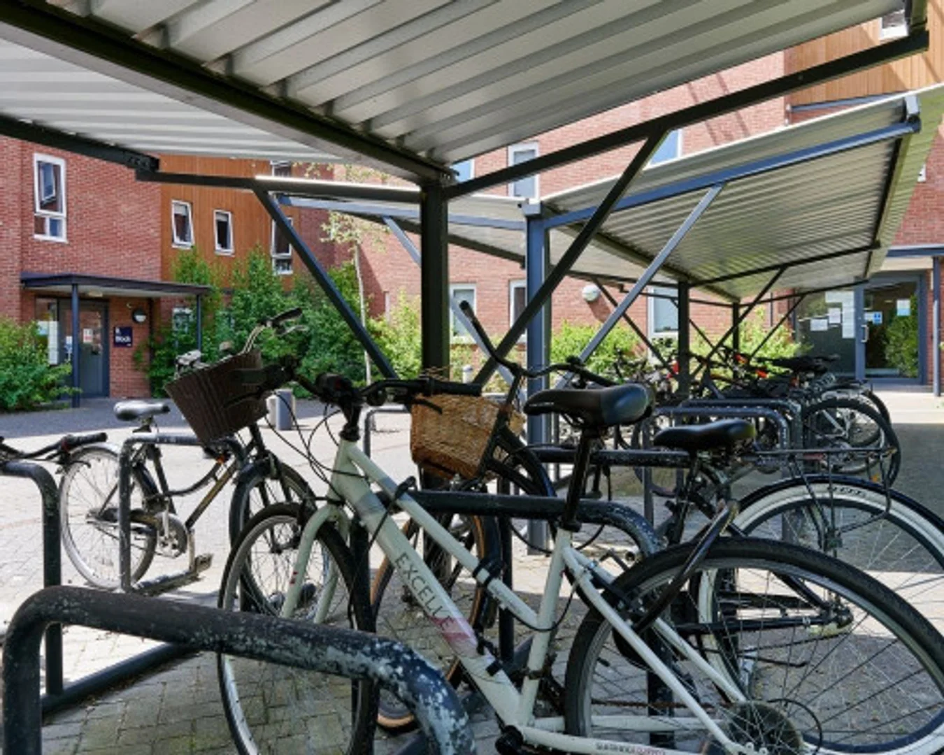 Bezahlbares Zimmer für Studenten mit ausreichender Beleuchtung in 