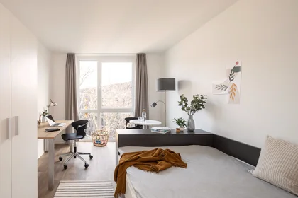 Privatzimmer in der THE FIZZ Aachen Aachen 52064, bild 6 von 12