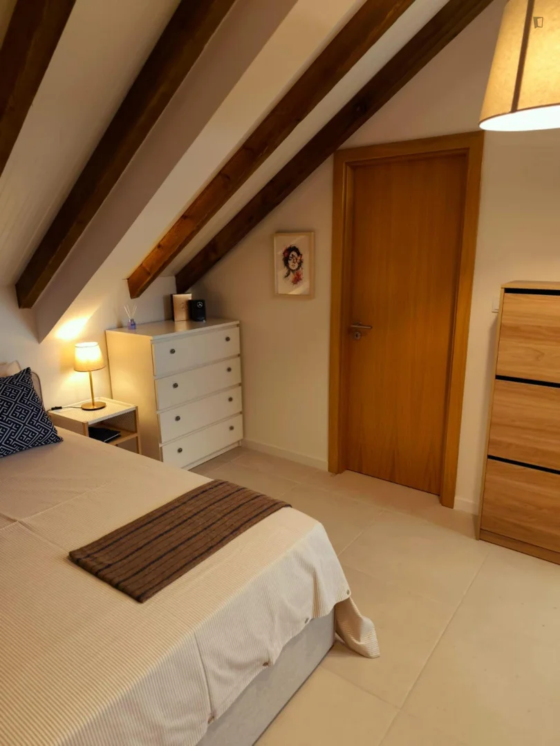 Chic studio apartment near campus in 