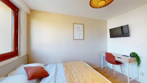 私人房间 在 146 Rue de la Barre - 2ème étage, 15的图像13