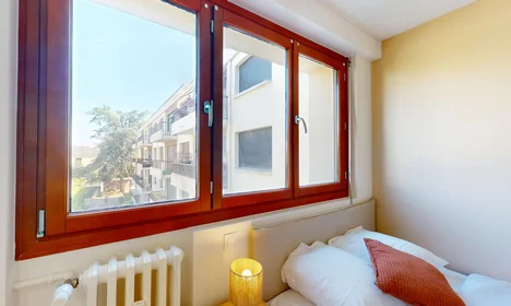 私人房间 在 146 Rue de la Barre - 2ème étage, 15的图像14