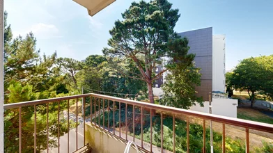 私人房间 在 146 Rue de la Barre - 2ème étage, 15的图像9