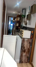 Stanza privata in Avenida General Carmona, immagine 13 di 20