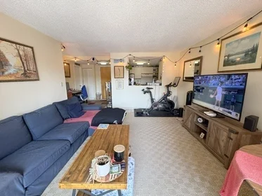 Gesamte Unterkunft im Wohnheim in der 15, North Beacon St., Unit 307, Allston, Boston, MA, 02134, bild 3 von 19