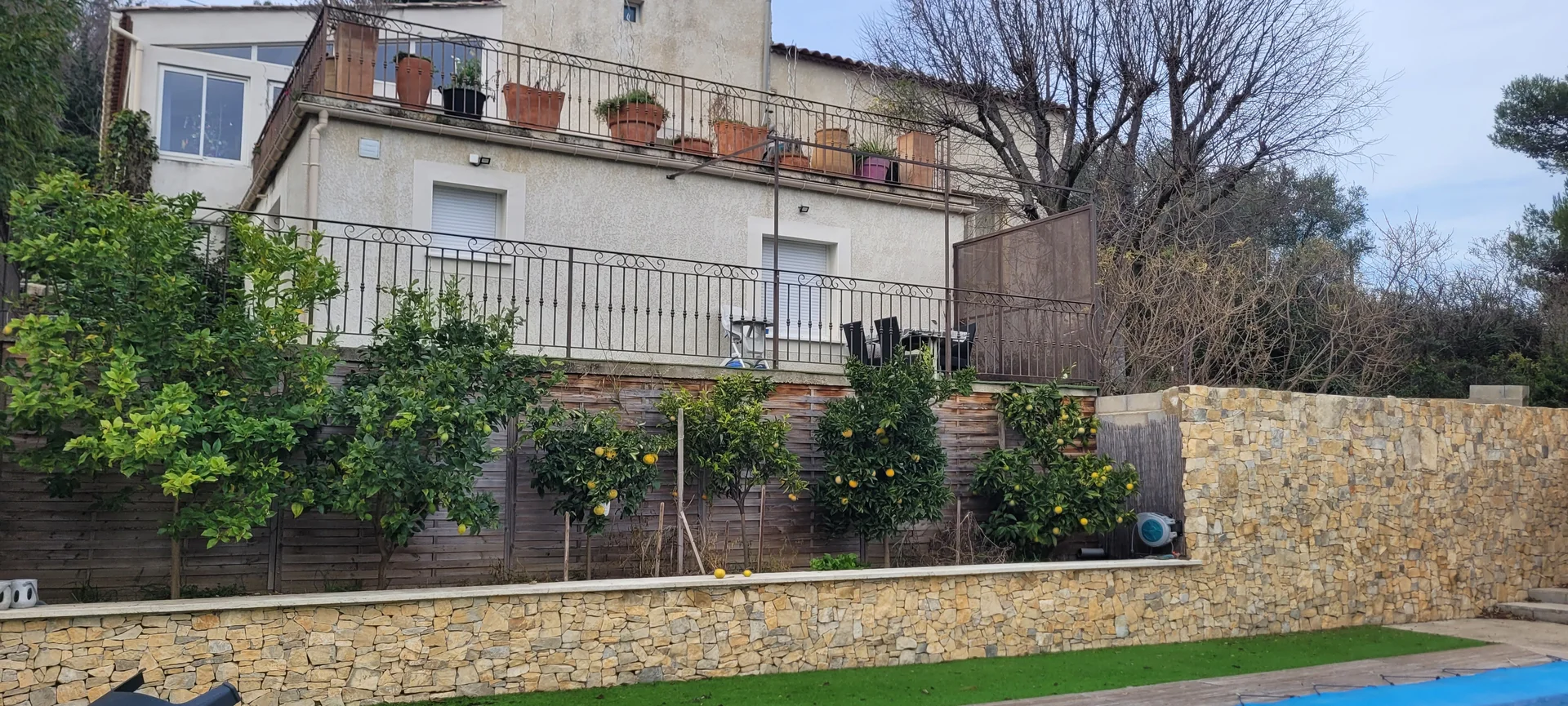 Rue des Sophoras