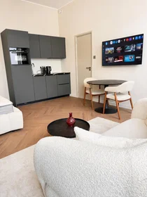 Entire apartment at Mauritsstraat, image 3 of 5
