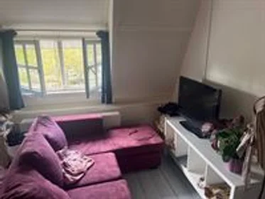 Private room at St. Canisiussingel, image 1 of 5