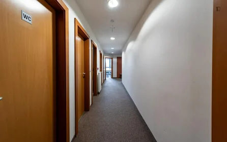 Quarto privado em Záhřebská, imagem 12 de 18