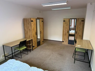 Quarto privado em Záhřebská, imagem 3 de 18