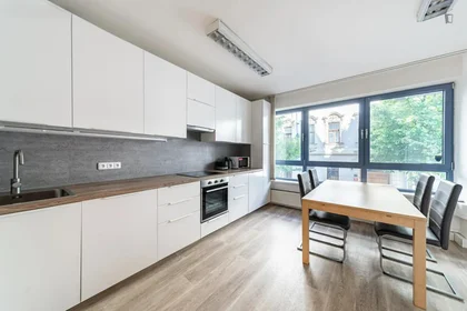 Stanza privata in Záhřebská, immagine 3 di 15