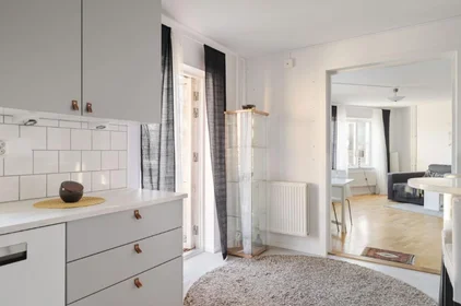 Całe miejsce Drabantgatan 37, obraz 6 17