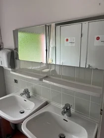 Privatzimmer in der Neuselsbrunn, bild 9 von 20