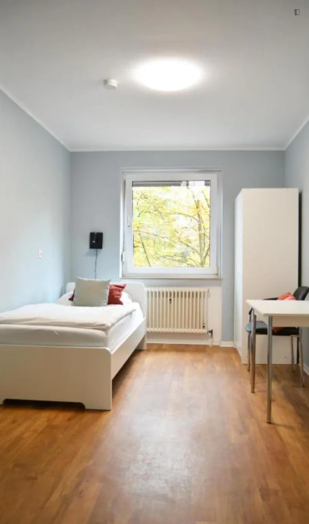 Affordable room for students with ample lighting in