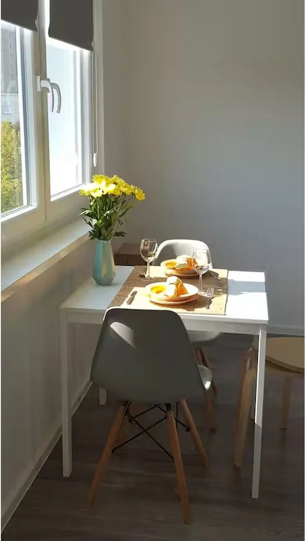 Student-friendly studio with excellent transport links in 
