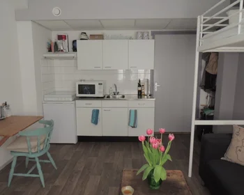 Private room at Willem Lorestraat, image 5 of 10
