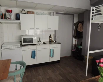 Private room at Willem Lorestraat, image 6 of 10