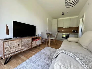 Logement entier à Primelweg, image 5 de 14