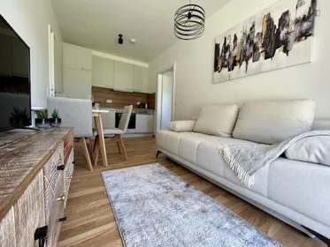 Logement entier à Primelweg, image 6 de 14