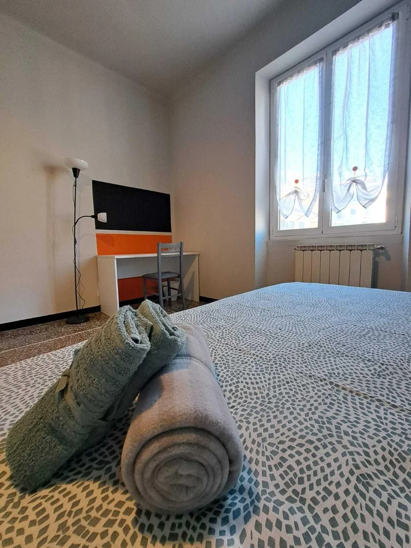 Affordable room for students with ample lighting in 