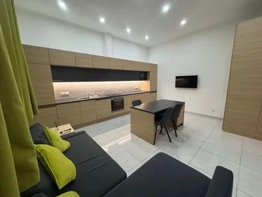 Apartamento inteiro em Ó utca 11, imagem 1 de 35