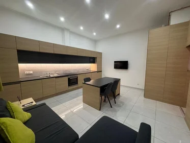 Apartamento inteiro em Ó utca 11, imagem 3 de 35