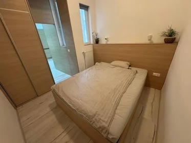 Apartamento inteiro em Ó utca 11, imagem 9 de 35