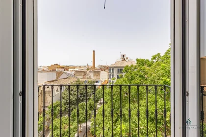 Appartamento intero in Calle Ollerías 45, immagine 17 di 17