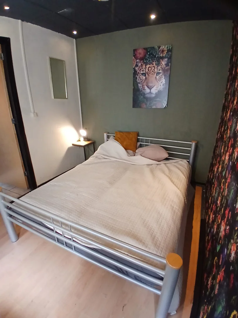 Affordable room for students with ample lighting in 