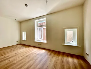 Kawalerka Oostersingel, obraz 1 8