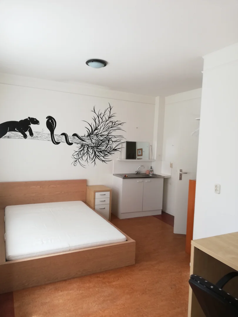 Chambre abordable pour les étudiants avec un bon éclairage dans 